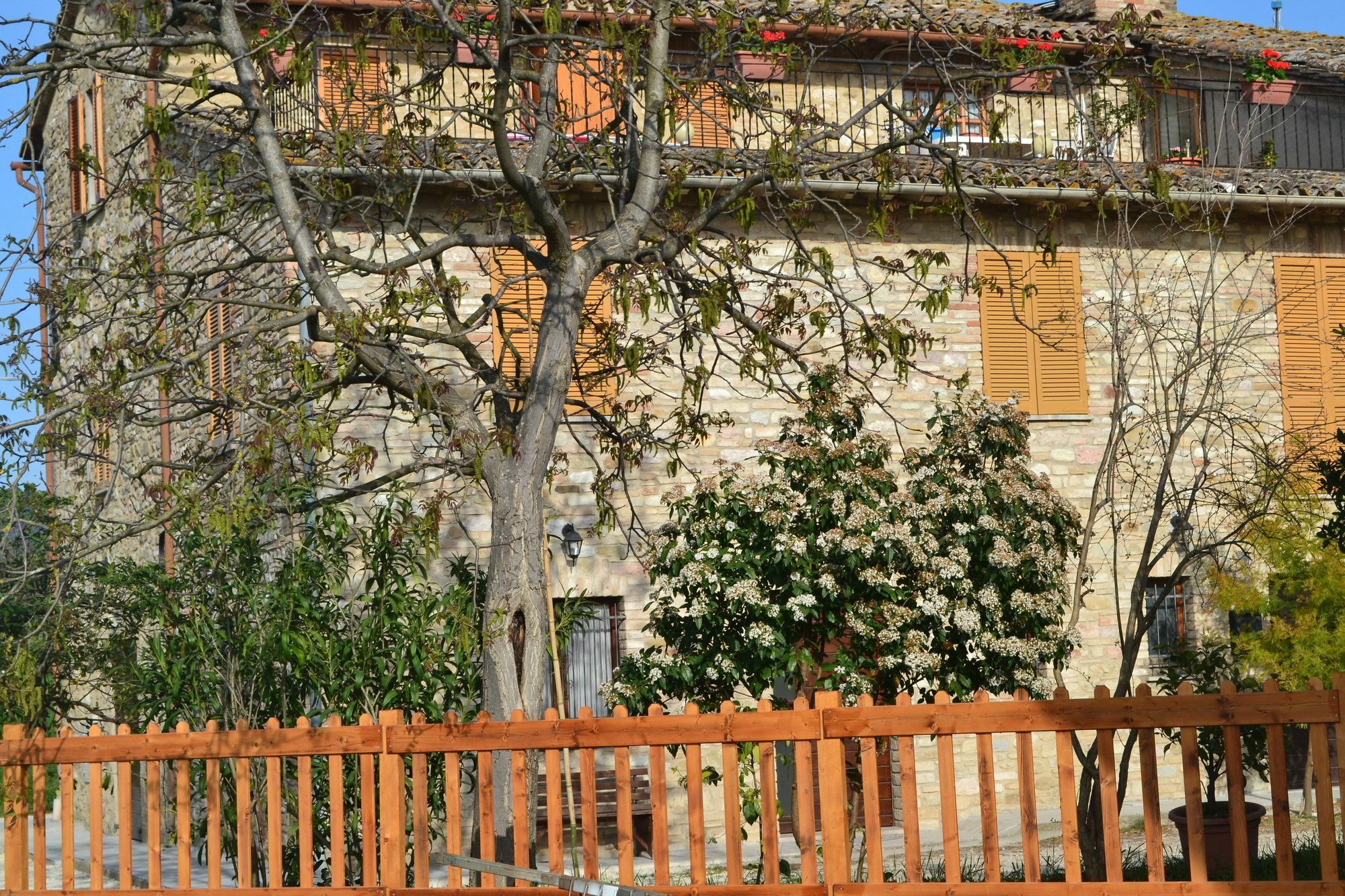 Camere I Monelli أسيسي المظهر الخارجي الصورة
